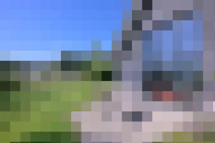 Biesterveldsweg 3 A Schalkhaar thumbnail 42