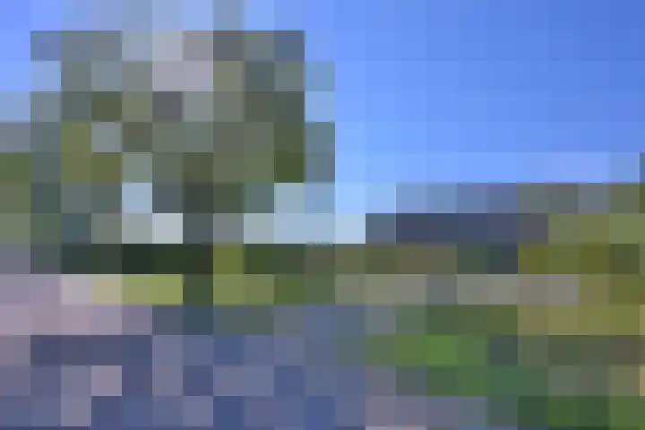 Biesterveldsweg 3 A Schalkhaar thumbnail 44
