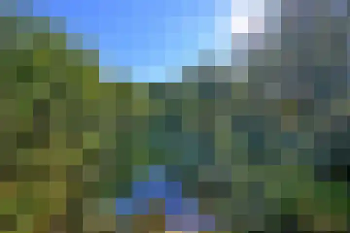 Biesterveldsweg 3 A Schalkhaar thumbnail 46