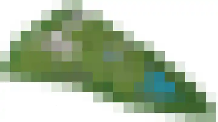 Biesterveldsweg 3 A Schalkhaar thumbnail 52