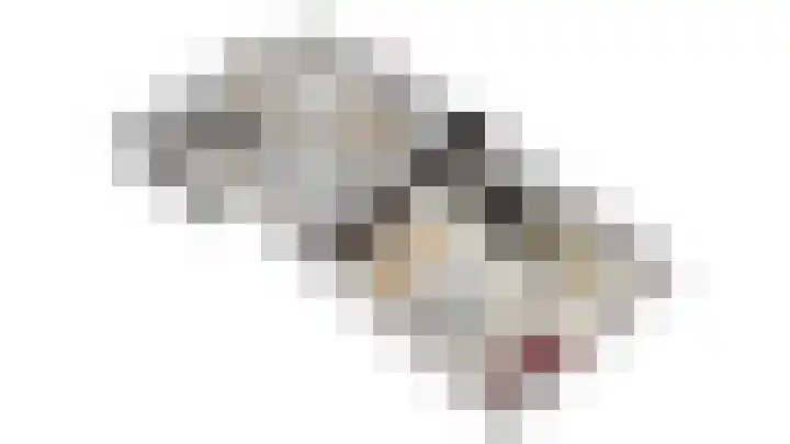 Biesterveldsweg 3 A Schalkhaar thumbnail 53