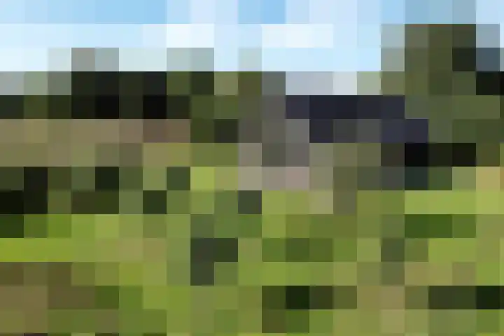 Biesterveldsweg 3 A Schalkhaar thumbnail 6