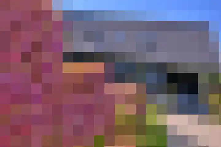 Biesterveldsweg 3 A Schalkhaar thumbnail 7
