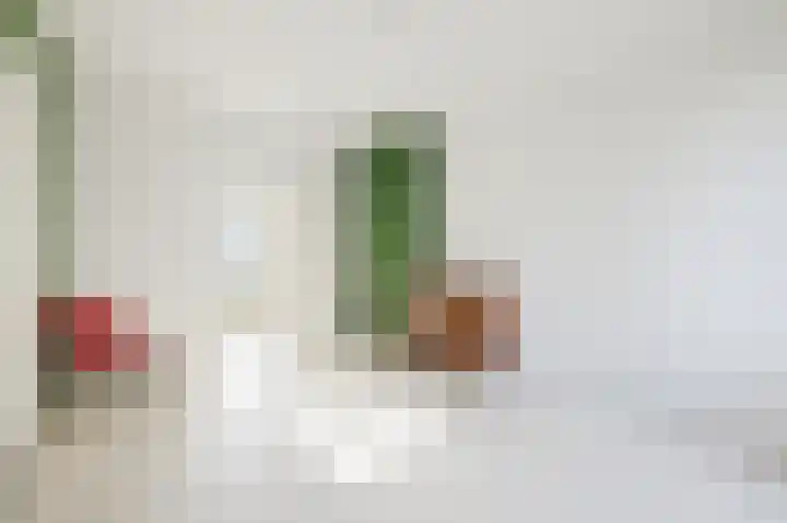 Biesterweg 18 Eindhoven thumbnail 9