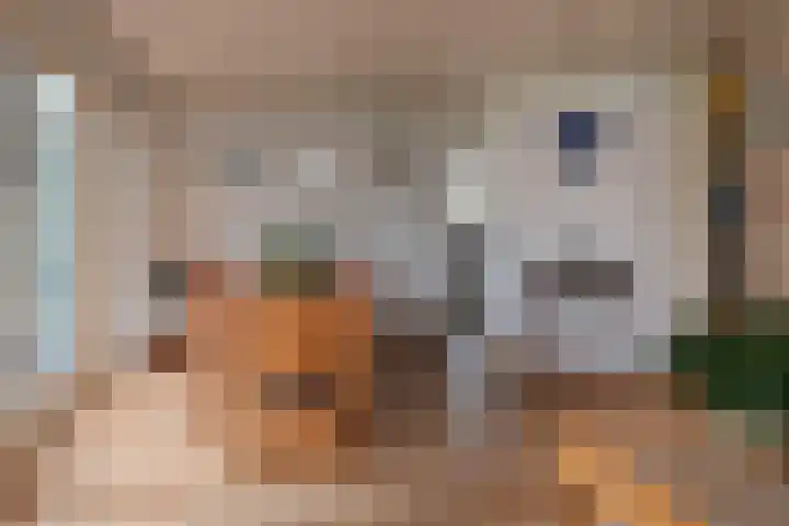 Biesterweg 25 Almelo thumbnail 11