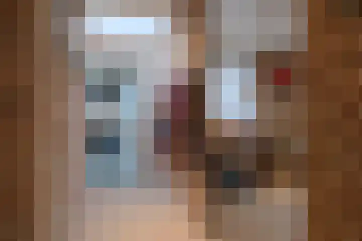 Biesterweg 25 Almelo thumbnail 17