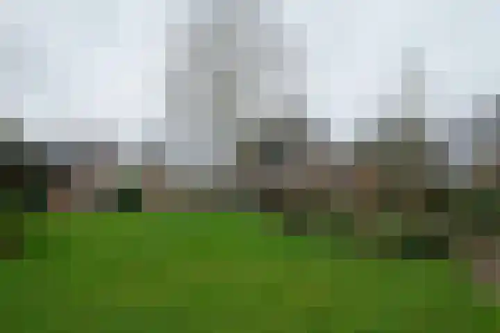 Biesterweg 25 Almelo thumbnail 25