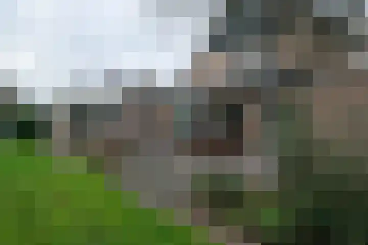 Biesterweg 25 Almelo thumbnail 27