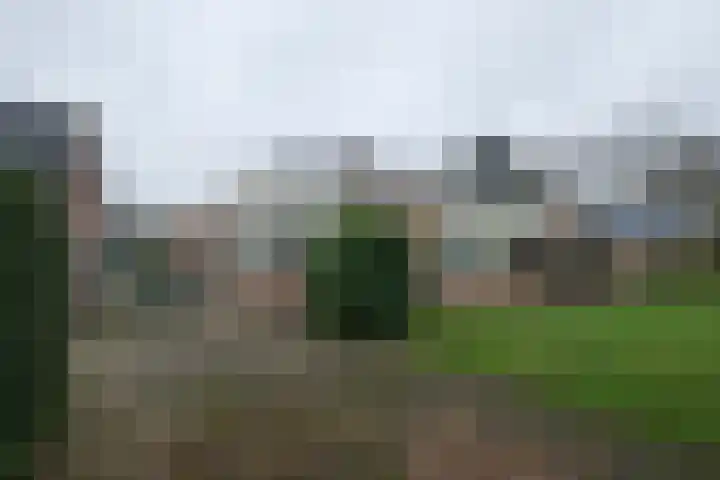 Biesterweg 25 Almelo thumbnail 28
