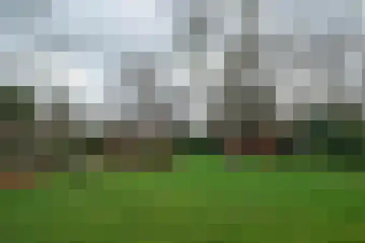 Biesterweg 25 Almelo thumbnail 29