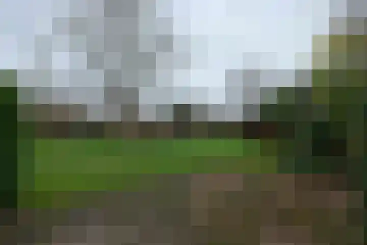 Biesterweg 25 Almelo thumbnail 30