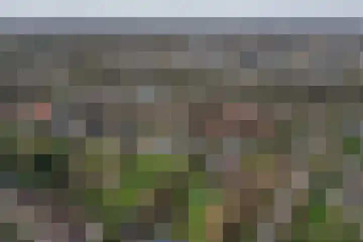 Biesterweg 25 Almelo thumbnail 33