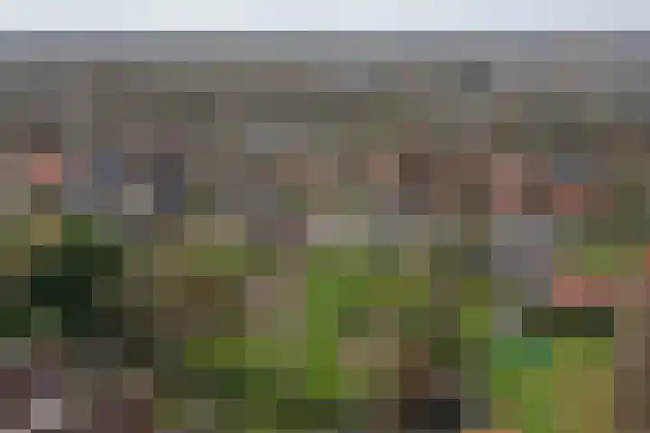 Biesterweg 25 Almelo thumbnail 34
