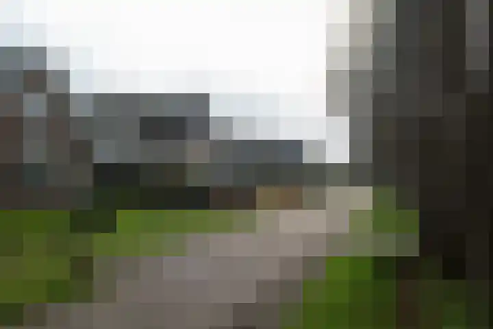Biesterweg 25 Almelo thumbnail 36