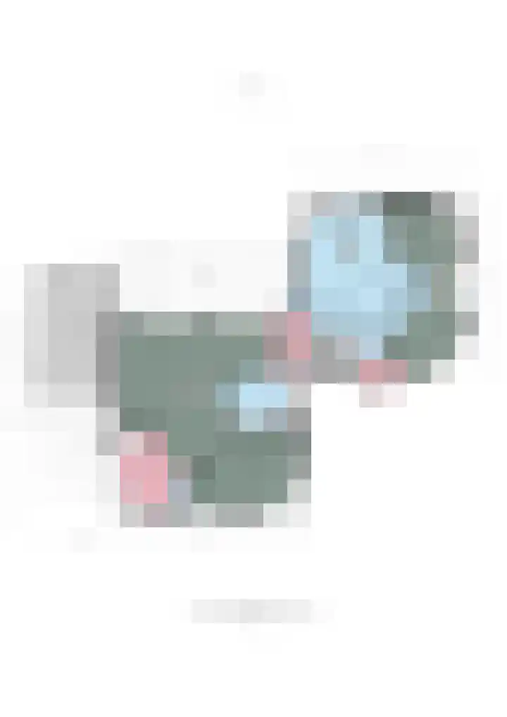Biesterweg 25 Almelo thumbnail 37
