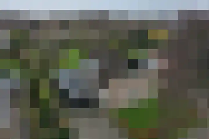 Biesterweg 25 Almelo thumbnail 5