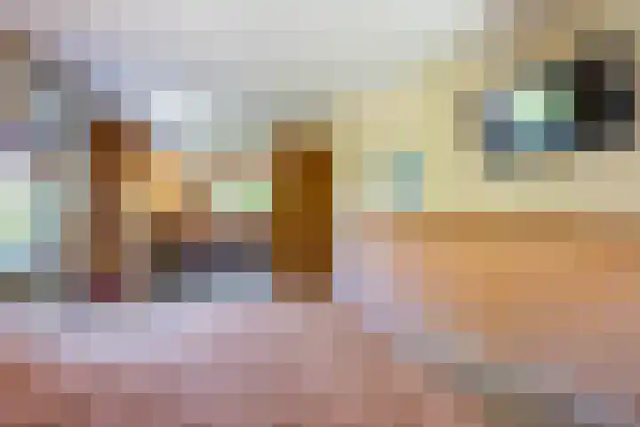Biesterweg 3 Almelo thumbnail 17