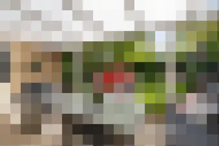 Biesterweg 3 Almelo thumbnail 21