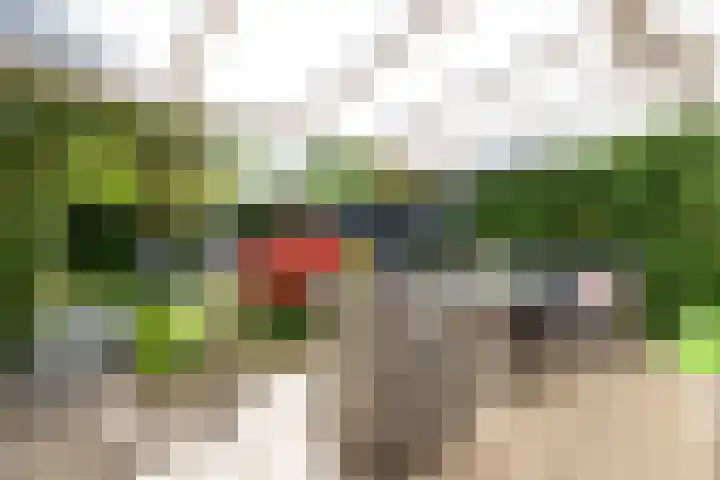 Biesterweg 3 Almelo thumbnail 22