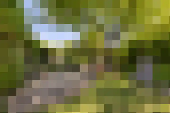 Biesterweg 3 Almelo thumbnail 24