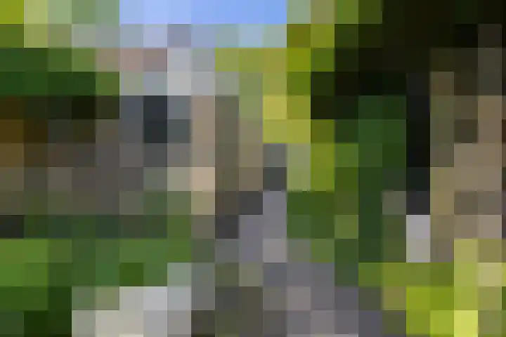 Biesterweg 3 Almelo thumbnail 25