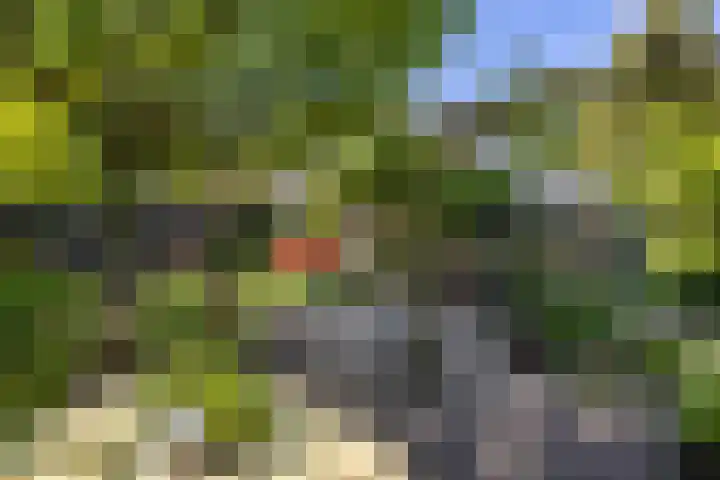 Biesterweg 3 Almelo thumbnail 26