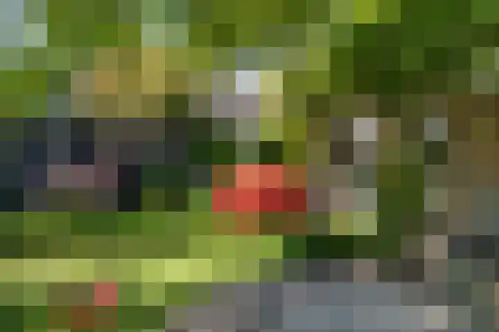 Biesterweg 3 Almelo thumbnail 27
