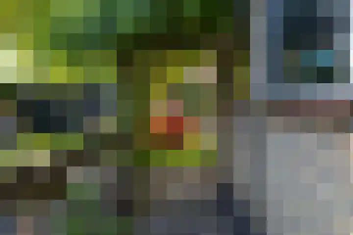 Biesterweg 3 Almelo thumbnail 29