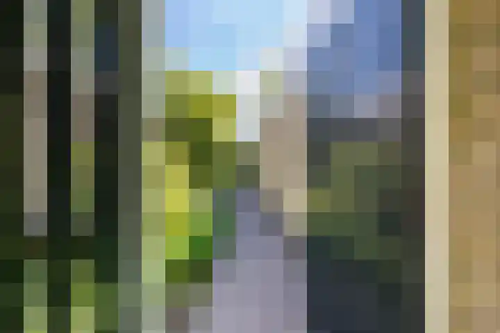 Biesterweg 3 Almelo thumbnail 31