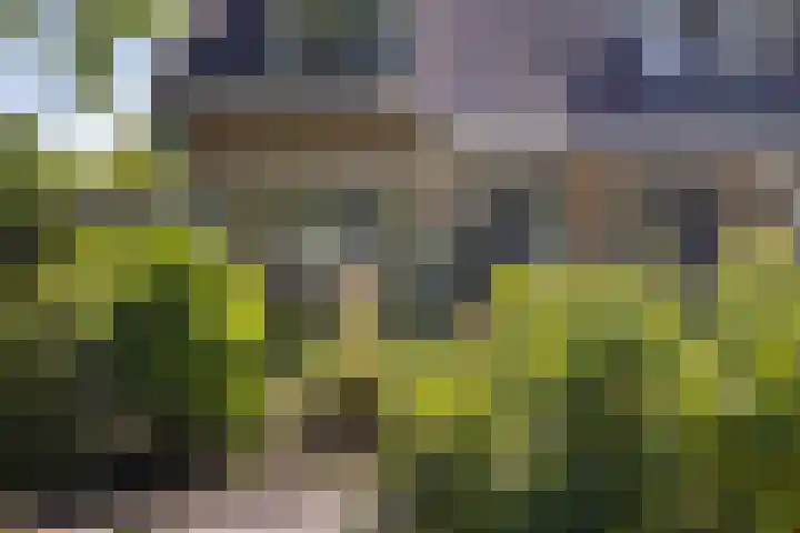 Biesterweg 3 Almelo thumbnail 32