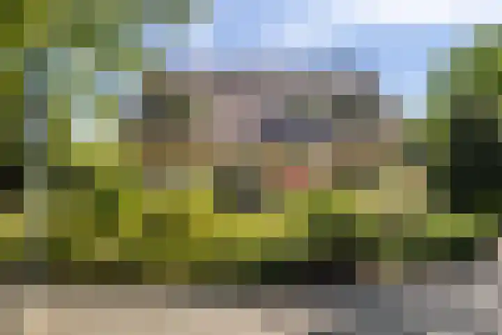 Biesterweg 3 Almelo thumbnail 33