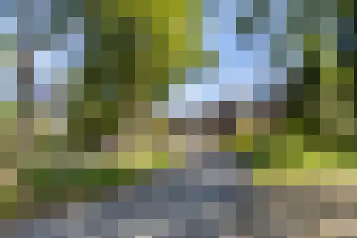 Biesterweg 3 Almelo thumbnail 34