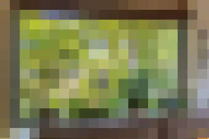 Biesterweg 3 Almelo thumbnail 8