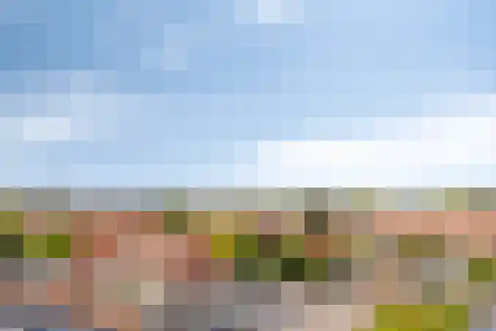 Biesterweg 3 Eindhoven thumbnail 14