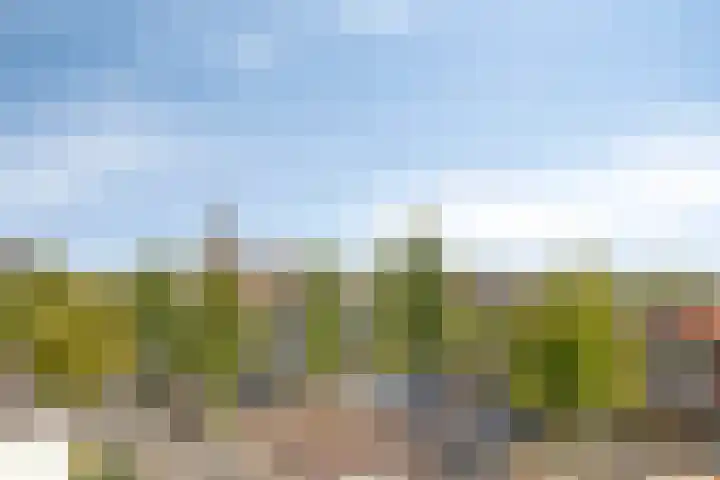 Biesterweg 3 Eindhoven thumbnail 24