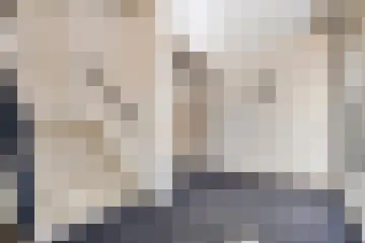 Biesterweg 3 Eindhoven thumbnail 9