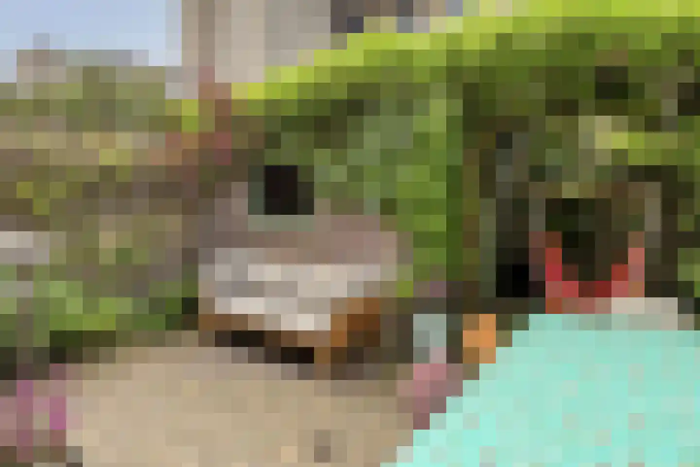 Biesterweg 30 Eindhoven thumbnail 32