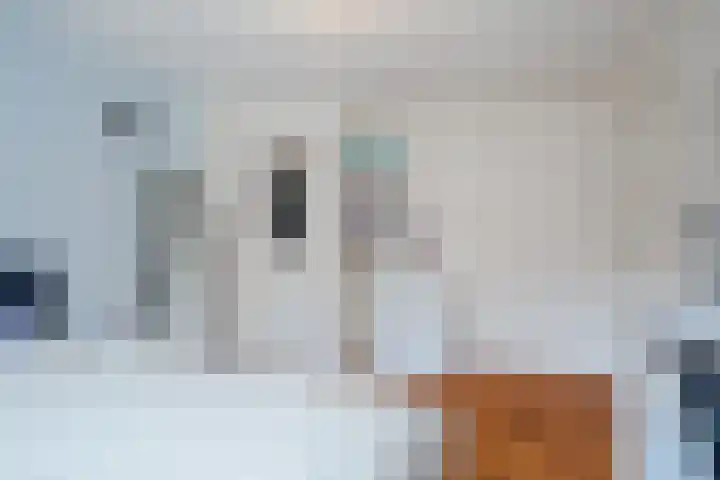 Biesterweg 31 Eindhoven thumbnail 20