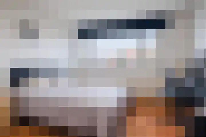 Biesterweg 31 Eindhoven thumbnail 22