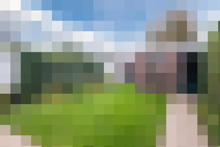 Biesterweg 31 Eindhoven thumbnail 34
