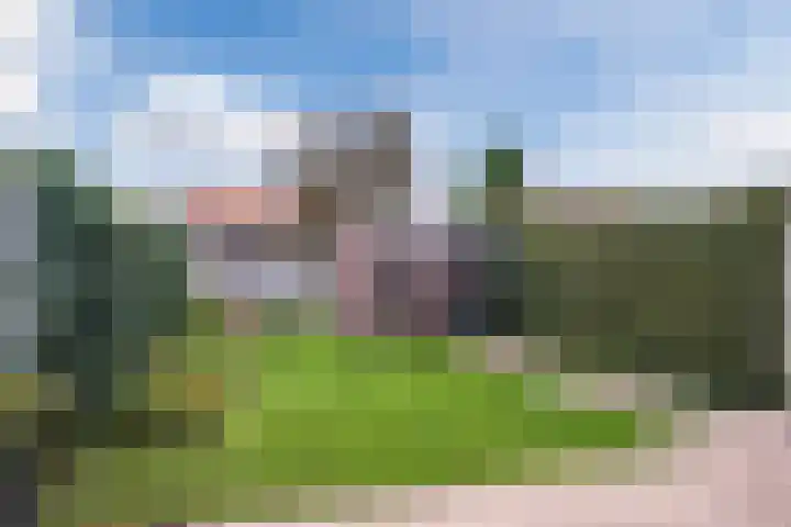 Biesterweg 31 Eindhoven thumbnail 35