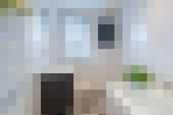 Biesterweg 31 Eindhoven thumbnail 4