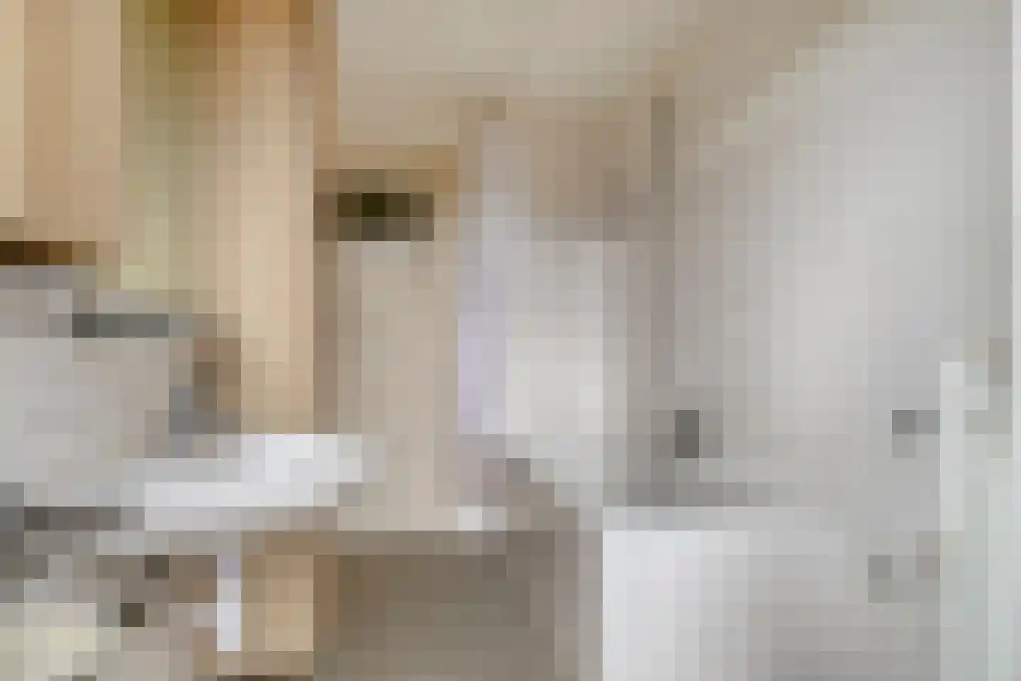 Biesterweg 33 Eindhoven thumbnail 15