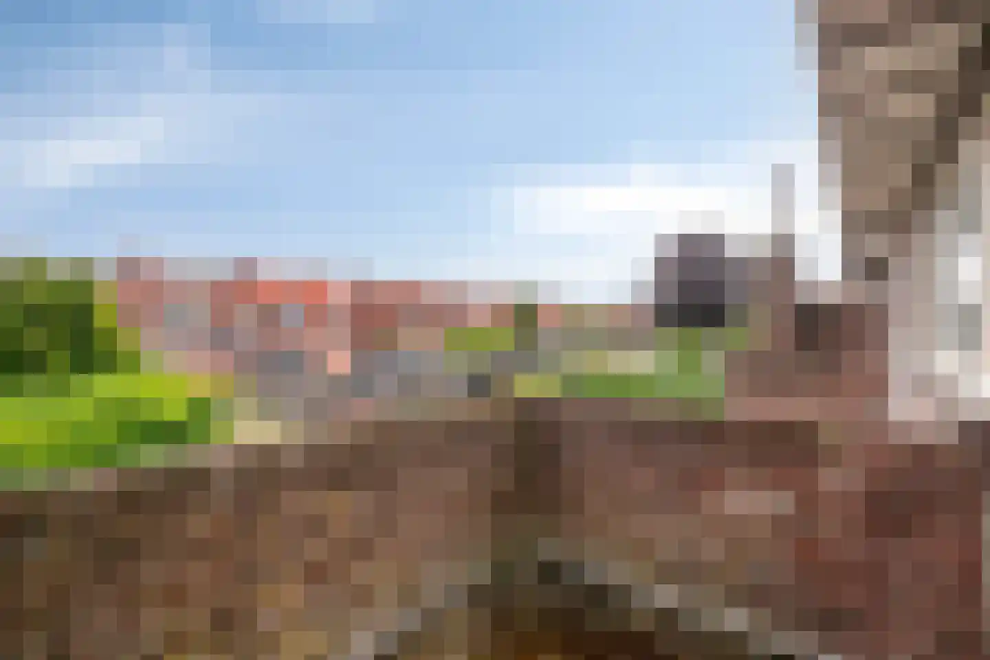 Biesterweg 33 Eindhoven thumbnail 17