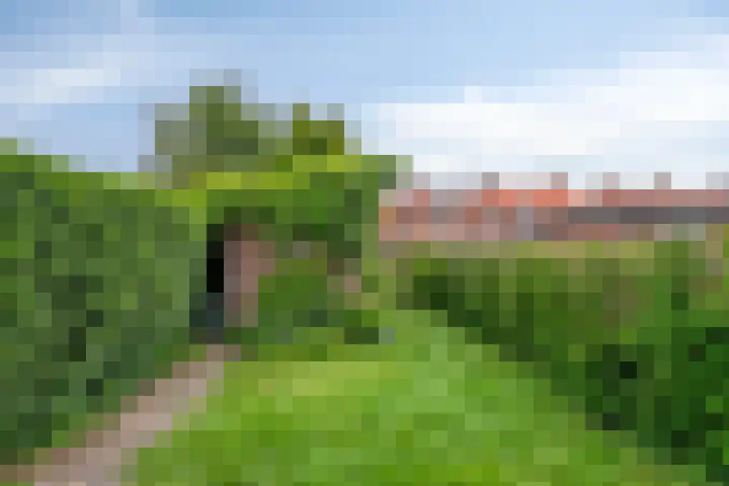 Biesterweg 33 Eindhoven thumbnail 30