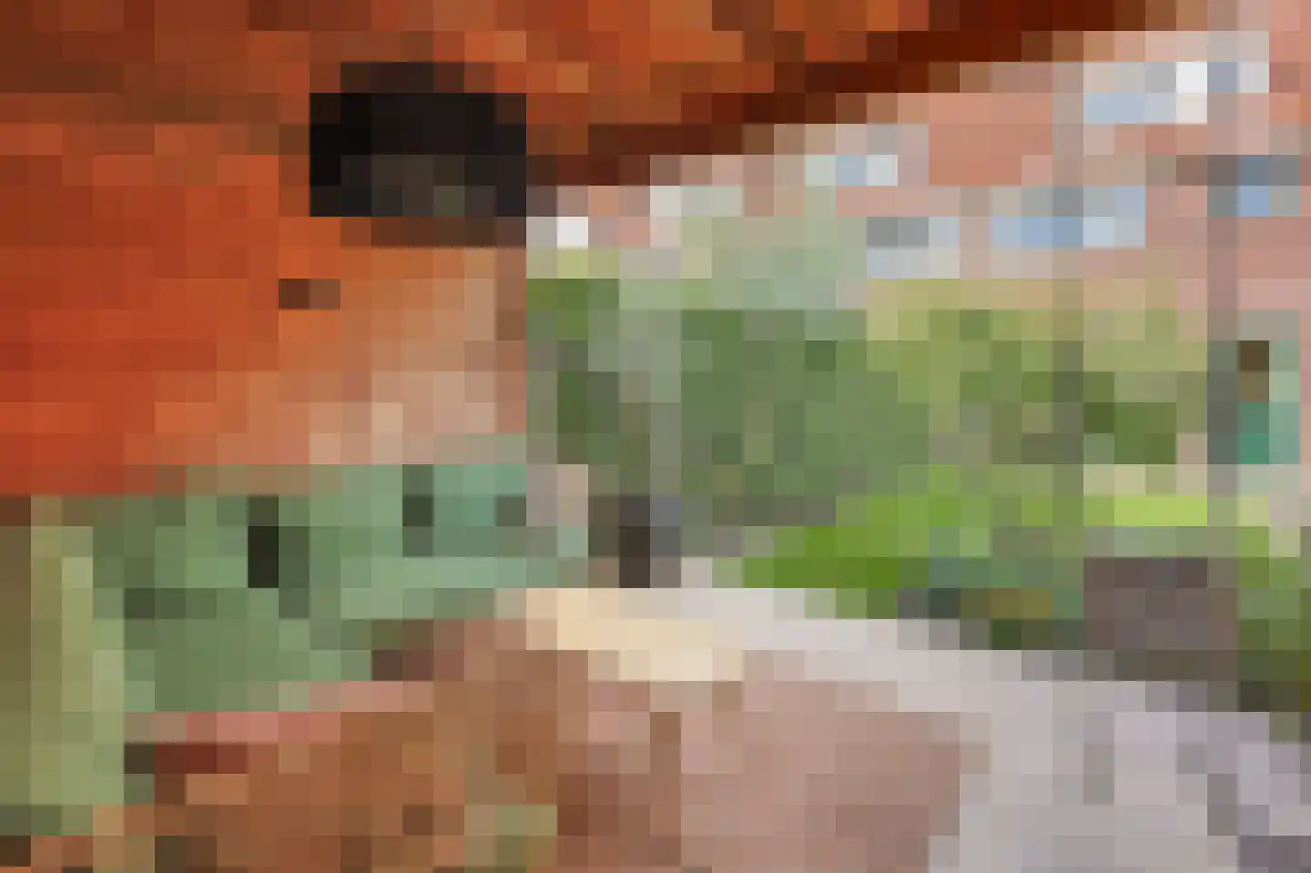Biesterweg 37 Eindhoven thumbnail 35