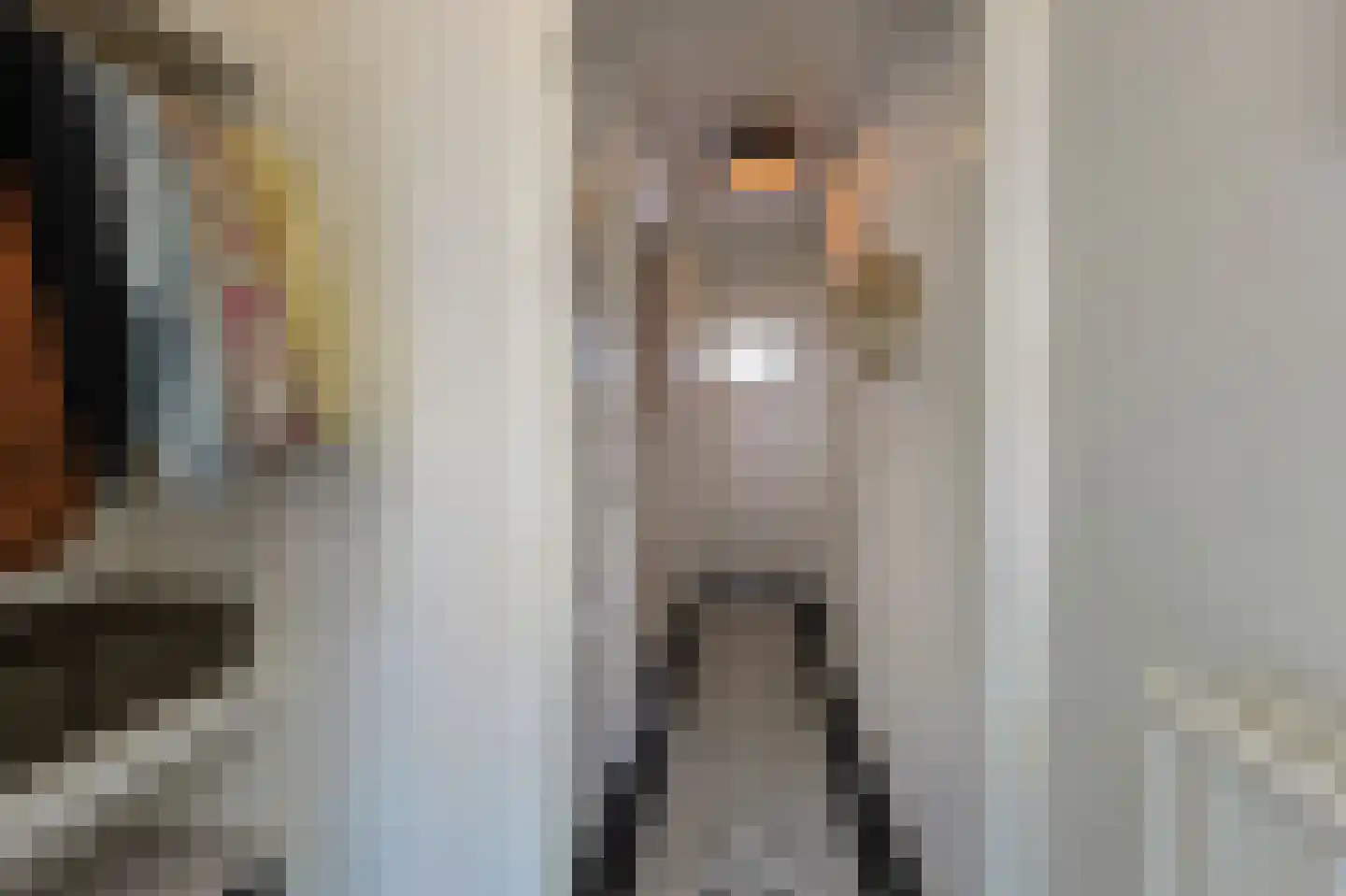 Biesterweg 37 Eindhoven thumbnail 7