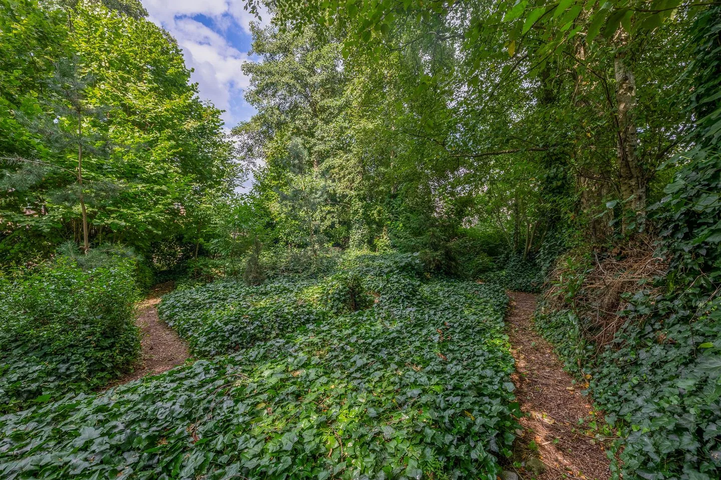 Biesterweg 43 Almelo thumbnail 38