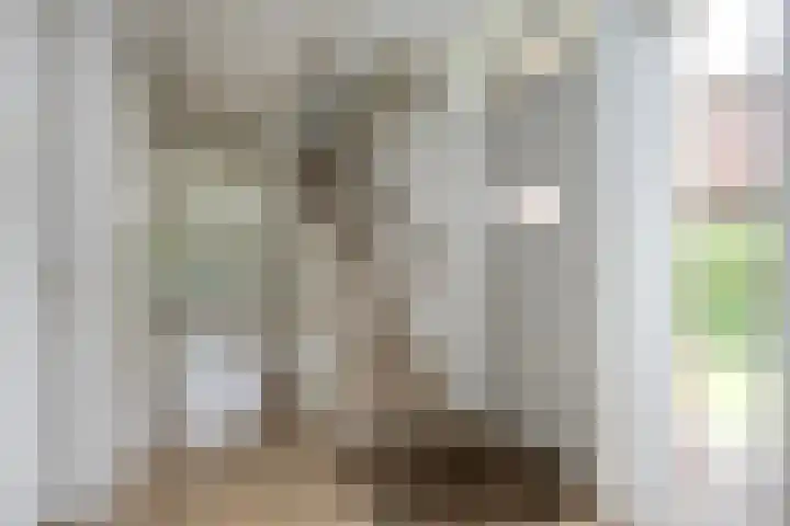Biesterweg 44 Eindhoven thumbnail 13
