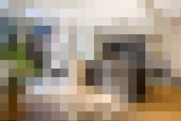 Biesterweg 44 Eindhoven thumbnail 14